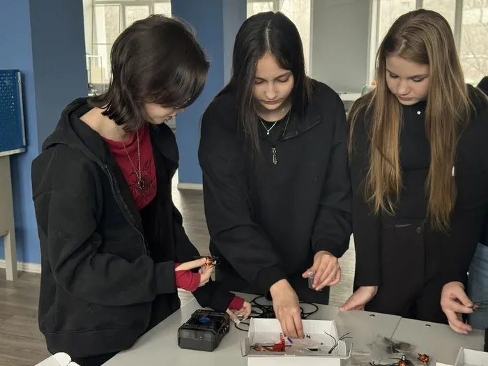 photo_2026-03-11_18-07-31