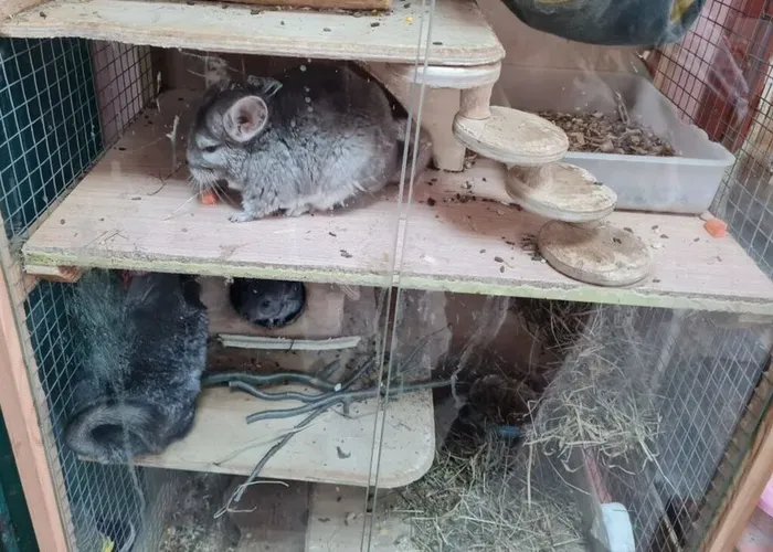 photo_2026-03-19_13-20-48