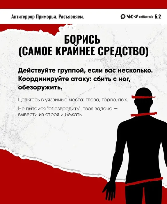 photo_2026-02-17_11-19-58