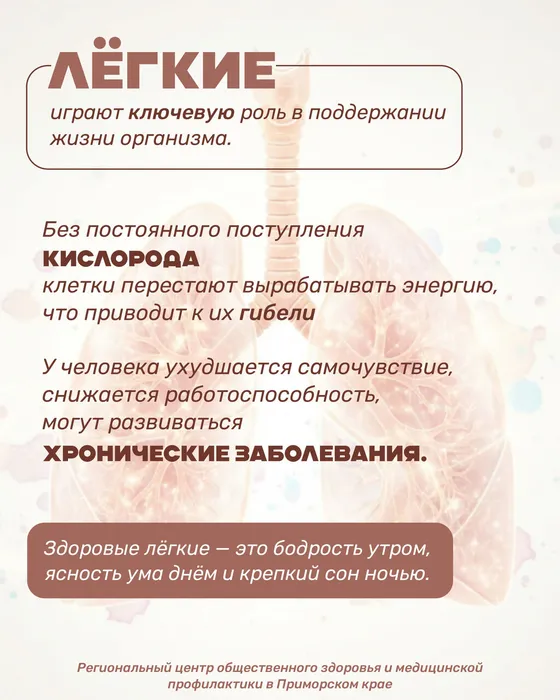 5_2
